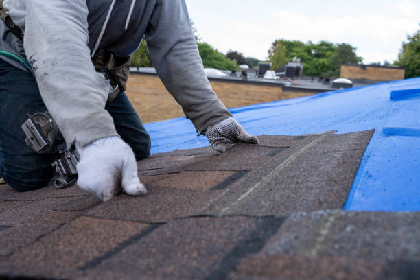 Best Emergency Roof Repair  in St Ignace, MI