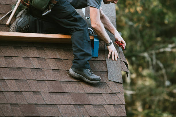 Roof Gutter Cleaning in St Ignace, MI