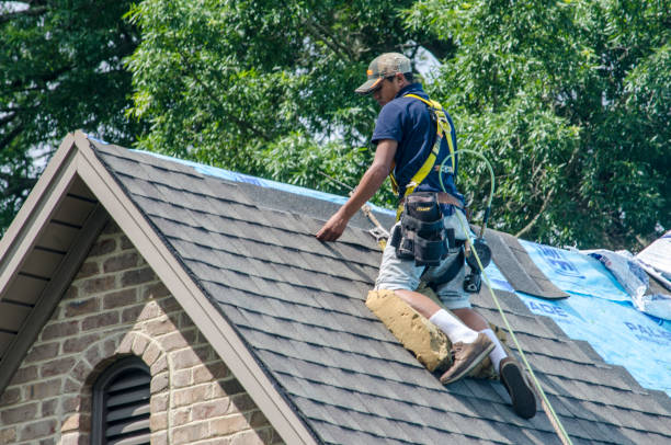 Best Storm Damage Roof Repair  in St Ignace, MI